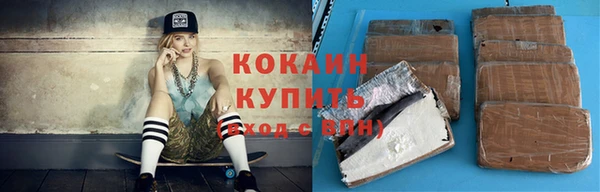 гашик Алзамай
