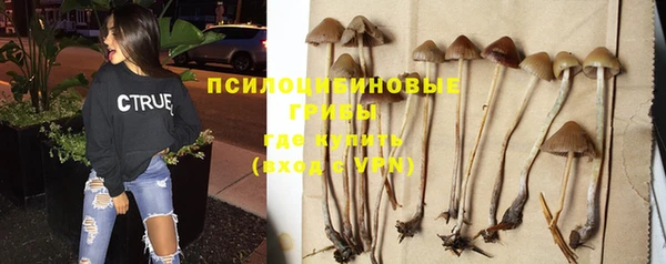 дурь Алексеевка