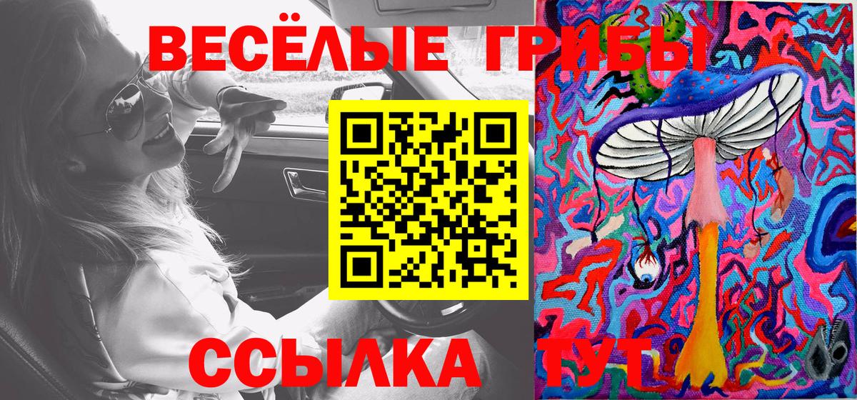 Апатиты  купить закладку  Галлюциногенные грибы GOLDEN TEACHER  Вход с VPN  Галлюциногенные грибы мухоморы 